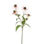 Ramo decorativo Echinacea MILROV, rosa chiaro, 75 cm