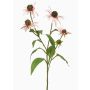 Ramo decorativo Echinacea MILROV, rosa chiaro, 75 cm
