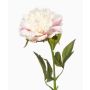 Peonia artificiale GAVRON, bianco-rosa, 55 cm