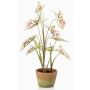 Pianta artificiale Syngonium YOMREL in vaso terracotta, crema-rosso, 60 cm