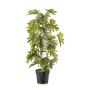 Pianta artificiale Philodendron selloum FLENTO, vaso decorativo, radici aeree, 80 cm