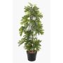 Pianta artificiale Philodendron selloum FLENTO, vaso decorativo, radici aeree, 80 cm