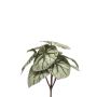 Pianta artificiale begonia foglia BLAROM su bastone, crossdoor, verde-grigio, 25 cm