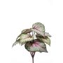 Pianta artificiale begonia foglia BLAROM su bastone, crossdoor, grigio-rosa, 25 cm