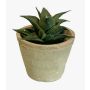 Pianta succulenta artificiale Haworthia limifolia GLOFER in vaso terracotta, verde scuro, 13 cm