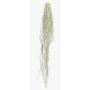 Pianta succulenta artificiale Tillandsia usneoides BRAVIK, bastoncino, difficilmente infiammabile, grigio, 150 cm