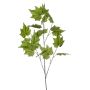 Ramo decorativo platano VORLAN, verde, 120 cm