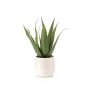 Aloe vera artificiale NORSHA in vaso decorativo, bianco, 30 cm