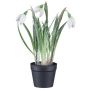 Fiore decorativo bucaneve WASFA in vaso decorativo, innevato, bianco, 20 cm