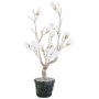 Albero decorativo magnolia NANDAL, globo, fiori, tronco artificiale, congelato, bianco, 75 cm