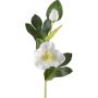 Fiore artificiale rosa di Natale DENDY, bianco, 35cm