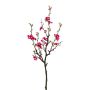 Ramo artificiale fiori di cotogno VORLIN con fiori, cerise, 75 cm