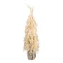 Erba decorativa Pampasgrass albero di Natale MOLFI in sacchetto di juta, pannocchie, crema, 80cm