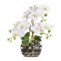 Fiore decorativo orchidea Phalaenopsis BRULFEN, vaso decorativo argento, bianco, 30 cm