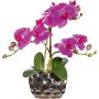 Fiore decorativo orchidea Phalaenopsis BRULFEN, vaso decorativo argento, lilla, 30 cm