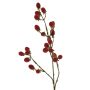 Ramo decorativo di more URUMA con frutti, rosso, 90 cm