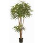Albero decorativo Aralia KHIRIA, tronchi veri, verde, 150cm