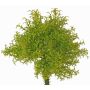 Felce muschio artificiale PADMA su bastone, verde-marrone, 23cm, Ø20cm