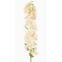 Fiore decorativo del finocchio selvatico XERINA, crema-rosa, 125cm