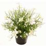 Fiore decorativo Impatiens GISINDA in vaso decorativo, bianco-verde, 25cm