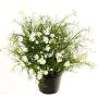 Fiore decorativo Impatiens GISINDA in vaso decorativo, crema, 40 cm