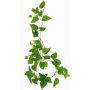 Pianta decorativa ghirlanda di edera SHELLEY su bastoncino, Eco Collection, verde, 55cm