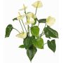 Anthurium artificiale NAKITA su bastoncino, crema, 50cm