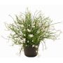 Fiore decorativo Impatiens GISINDA in vaso decorativo, bianco, 25cm