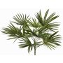 Palma artificiale Washingtonia SAIMA su bastoncino, crossdoor, 50cm