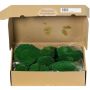 Muschio vero SEETHA, verde, 800 g, 0,15 m2