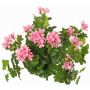 Fiore artificiale geranio MIA su stelo, rosa chiaro, 40cm, Ø5-8cm