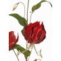 Ramo di gloriosa vellutata DINFAS, rosso scuro-oro, 80cm