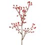 Ramo decorativo rosa selvatica HIKERNO con bacche di rosa canina, rosso, 60 cm