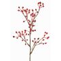 Ramo decorativo rosa selvatica HIKERNO con bacche di rosa canina, rosso, 60cm