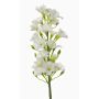 Phlox finto ALSA, bianco, 35cm, Ø6cm