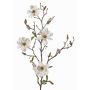 Ramo di magnolia artificiale MARGA, bianco, 80cm, Ø7-8cm