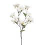 Ramo decorativo di bouganville MOWLER con fiori, crema, 70 cm