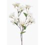 Ramo decorativo di bouganville MOWLER con fiori, crema, 70 cm