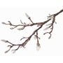 Ramo di magnolia artificiale ASANI, bianco, 70cm, Ø1-2cm