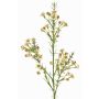 Ramo decorativo FRINDALS, crema, 65cm, Ø1,5-2cm