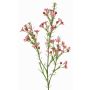 Ramo decorativo con fiori di cera FRINDALS, rosa scuro, 65cm, Ø1,5-2cm