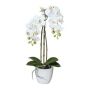 Orchidea artificiale Phalaenopsis LARKEN in vaso di ceramica, radici, bianca, 45 cm
