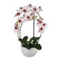 Orchidea Phalaenopsis in tessuto INAKES, vaso in ceramica, radici, rosa-bianco, 50 cm