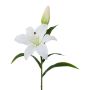 Fiore decorativo giglio XERNA, bianco, 50 cm