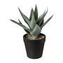 Pianta succulenta artificiale Aloe Vera BLORN in vaso decorativo, verde, 20cm