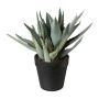 Pianta succulenta artificiale Aloe Vera BLORN in vaso decorativo, verde, 23 cm
