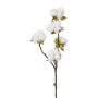 Ramo artificiale cotone GROVEL con frutti, bianco, 45 cm