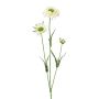 Ramo decorativo scabiosa ATLENTO, bianco, 65 cm
