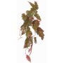 Pianta artificiale Begonia palmata OANFIR, bastoncino, pendente, rosa-verde, 90cm