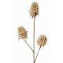 Ramo artificiale di garofano MARDUEN, beige, 75cm, Ø5cm